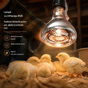 Bec infrarosu pentru incalzire R125,150W, E27, Transparent