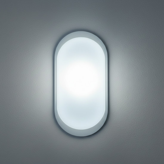 Aplica LED BAT Ovala 18W=162W, 4000K, lumina neutra, cu protectie IP65