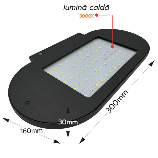 Aplica LED Perete 300x160mm 12W=108W 3000K, lumina calda, cu protectie IP65