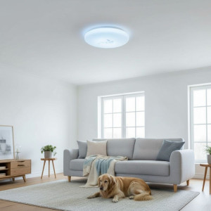 Plafoniera LED Flower  fi230 13W=75W, 6500K, lumina rece