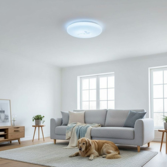 Plafoniera LED Flower  fi230 13W=75W, 6500K, lumina rece