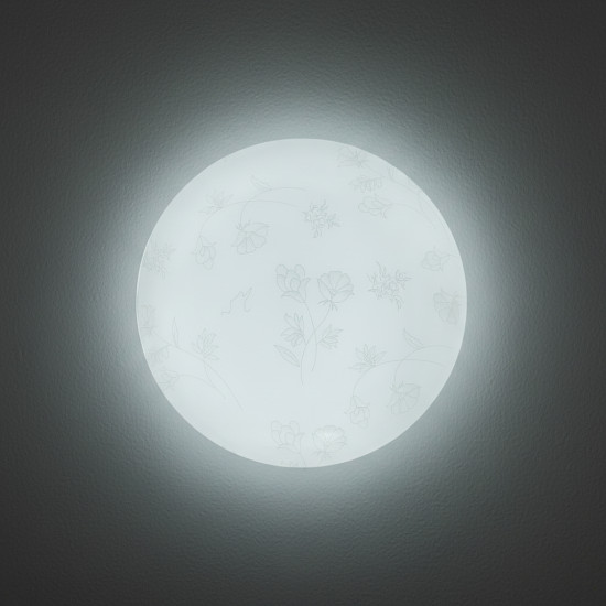 Plafoniera LED Flower  fi300 18W=120W, 6500K, lumina rece