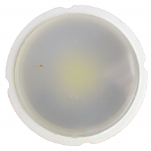 Bec Led Mr16 model R50, 6W=50W, 2700K, lumina calda