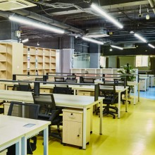 Tub LED Mat, model T8, 24W, 6500K, lumina rece, 2400lm, 1500 mm